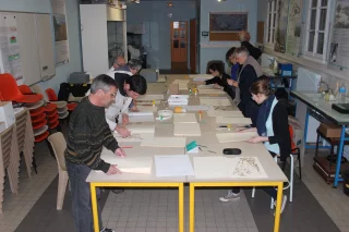 Participez à la restauration de l'herbier !