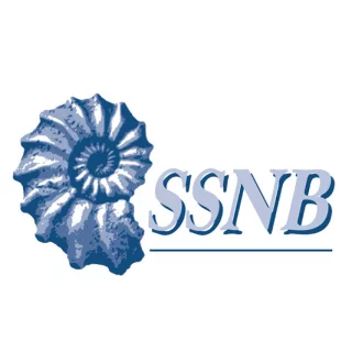 SSNB