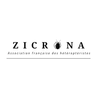 Zicrona