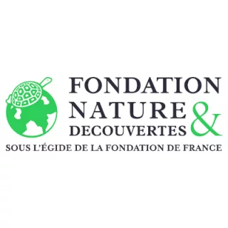 N&D Fondation