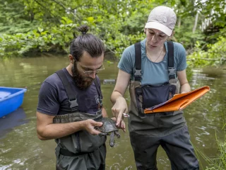 Suivi de Cistude d'Europe