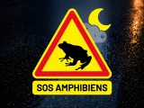 SOS Amphibiens