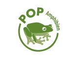 POP Amphibien