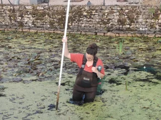 Diagnostic de mare en vue de restauration