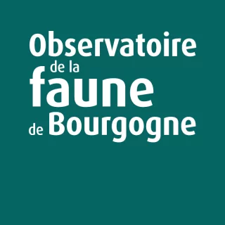 Observatoire de la faune de Bourgogne
