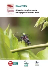 Bilan intermédiaire 2025