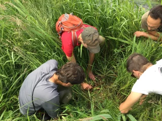 Formation Micromammifères