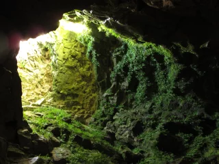 Grotte du Contard