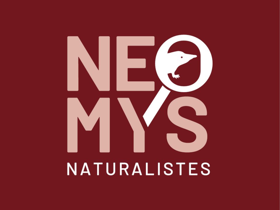 Qu’est-ce que Neomys ? | SHNA-OFAB