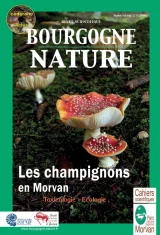 Les champignons en Morvan