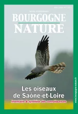 Les oiseaux de Saône-et-Loire