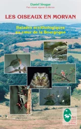 Les oiseaux en Morvan