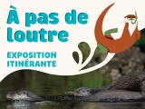 Exposition sur la Loutre d'Europe