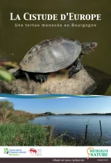 La Cistude d'Europe