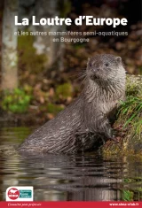 La Loutre d'Europe en Bourgogne