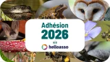 Adhésion - HelloAsso