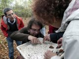 Découverte des invertébrés forestiers avec Adret Morvan