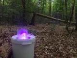Dispositif en forêt de feuillus