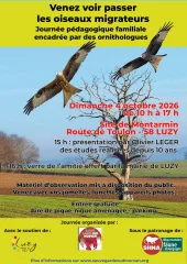Observations des oiseaux migrateurs