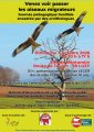 Observations des oiseaux migrateurs