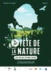 La loutre, sur la route du retour