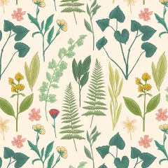 Atelier botanique : les grandes familles 1/2