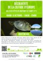 Conférence découverte de la Cistude d'Europe