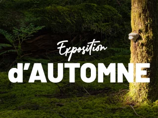 Exposition d'automne de la SHNA