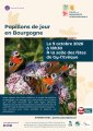Papillons de jour en Bourgogne