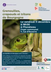 Grenouilles, crapauds et tritons de Bourgogne