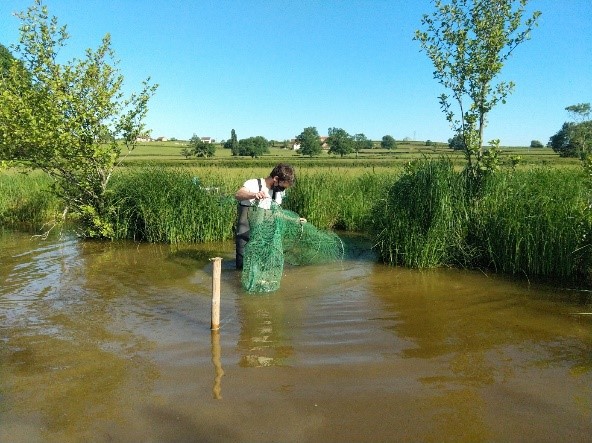 Vérification d'un verveux 