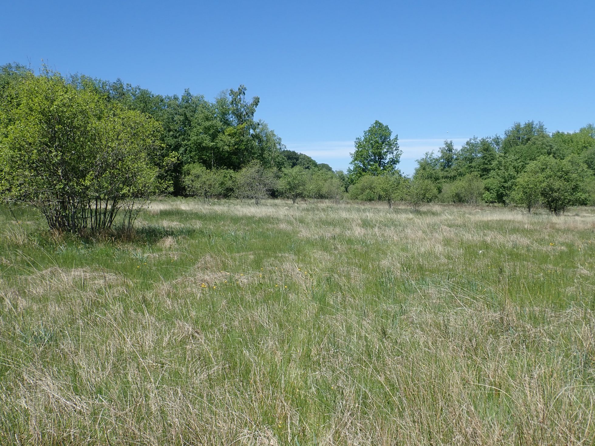 Une prairie de la réserve © Q. Barbotte