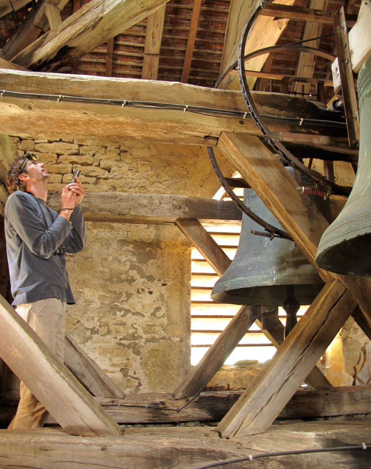 Suivi d’une colonie de mise bas dans une église © Alexandre CARTIER