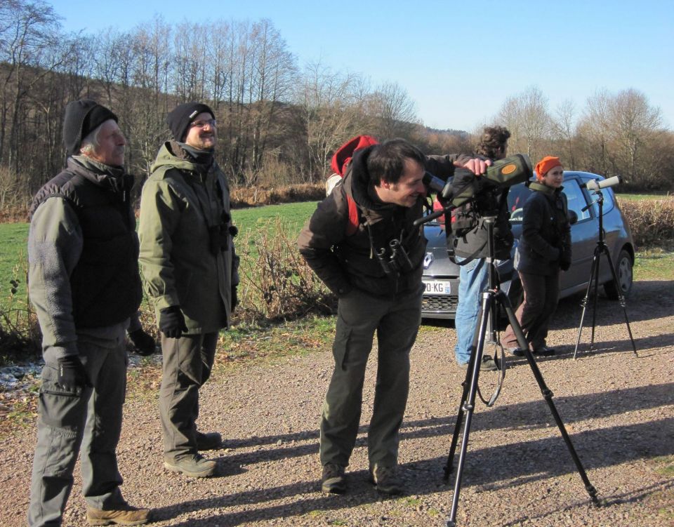 Sorties atlas organisées par le Groupe Oiseaux Morvan, dans le secteur de Montsauche-les-settons © Cécile Détroit