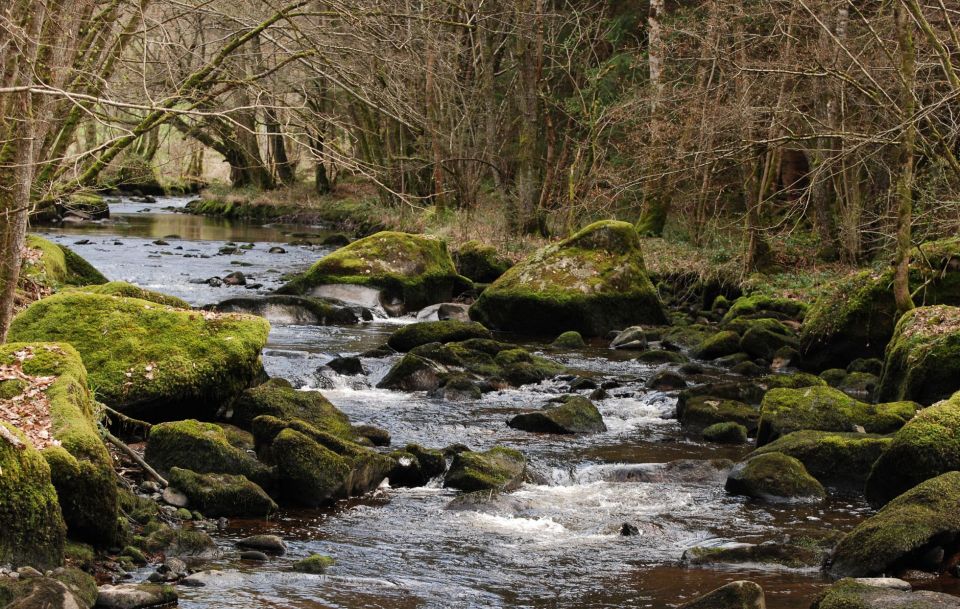 Rivière le Chalaux, accueillant des densités importantes de Cincle plongeur © Ludovic Jouve