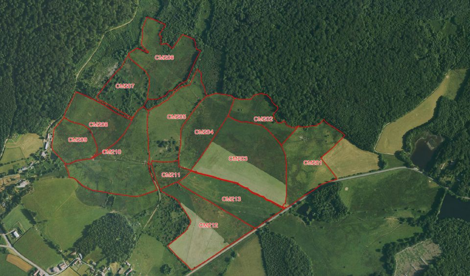 Parcellaire cartographié sur un secteur de prairies de Champeau-en-Morvan © SHNA