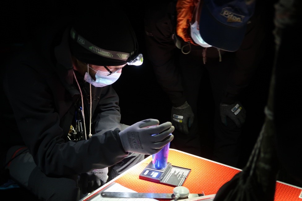 Session de capture au filet  & Prise de mesures biométriques sur Murin à moustaches @ A. TIROUFLET