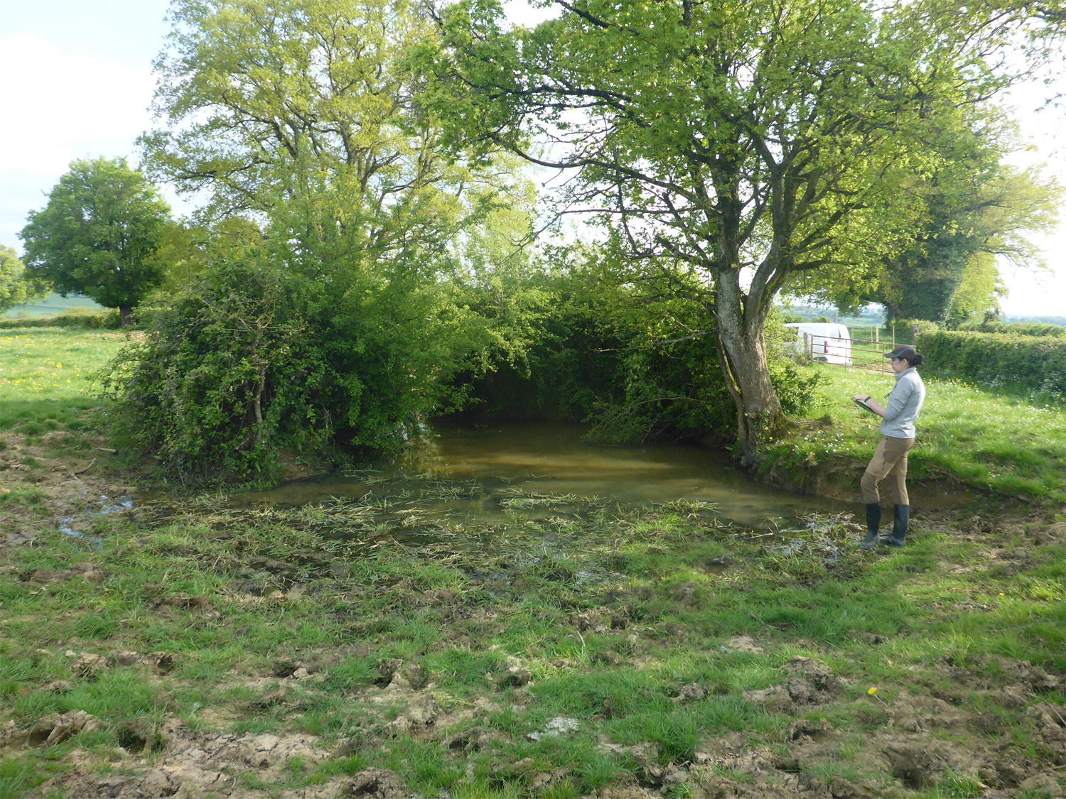 Diagnostic de mare pré-travaux © L. LEPRÊTRE