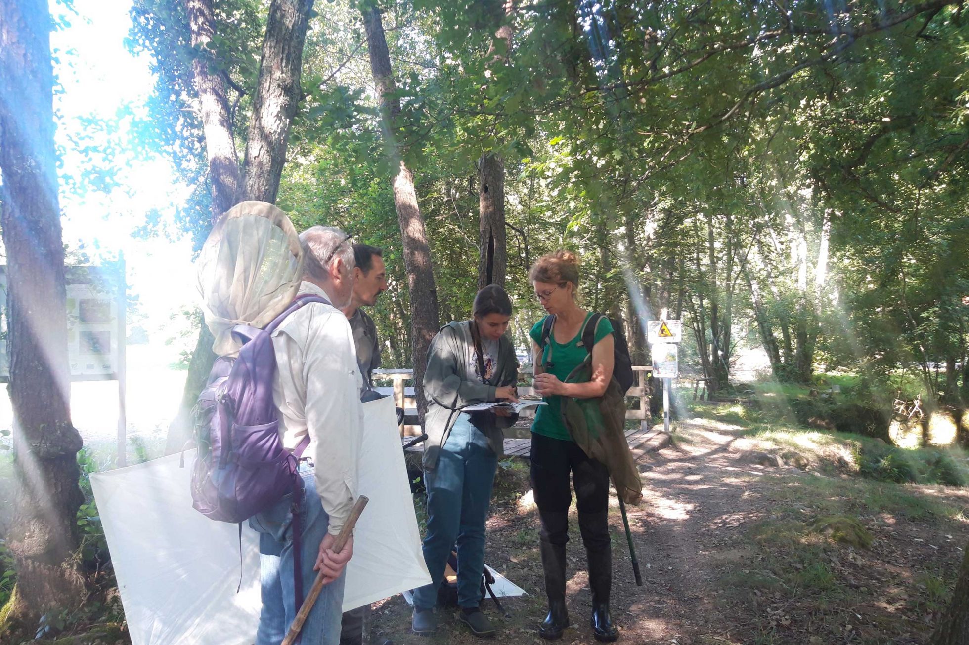 Les participants autour d'une exuvie de Cordulegaster boltonii récoltée à environ 2m sur le tronc d'un Érable © M. CARNET