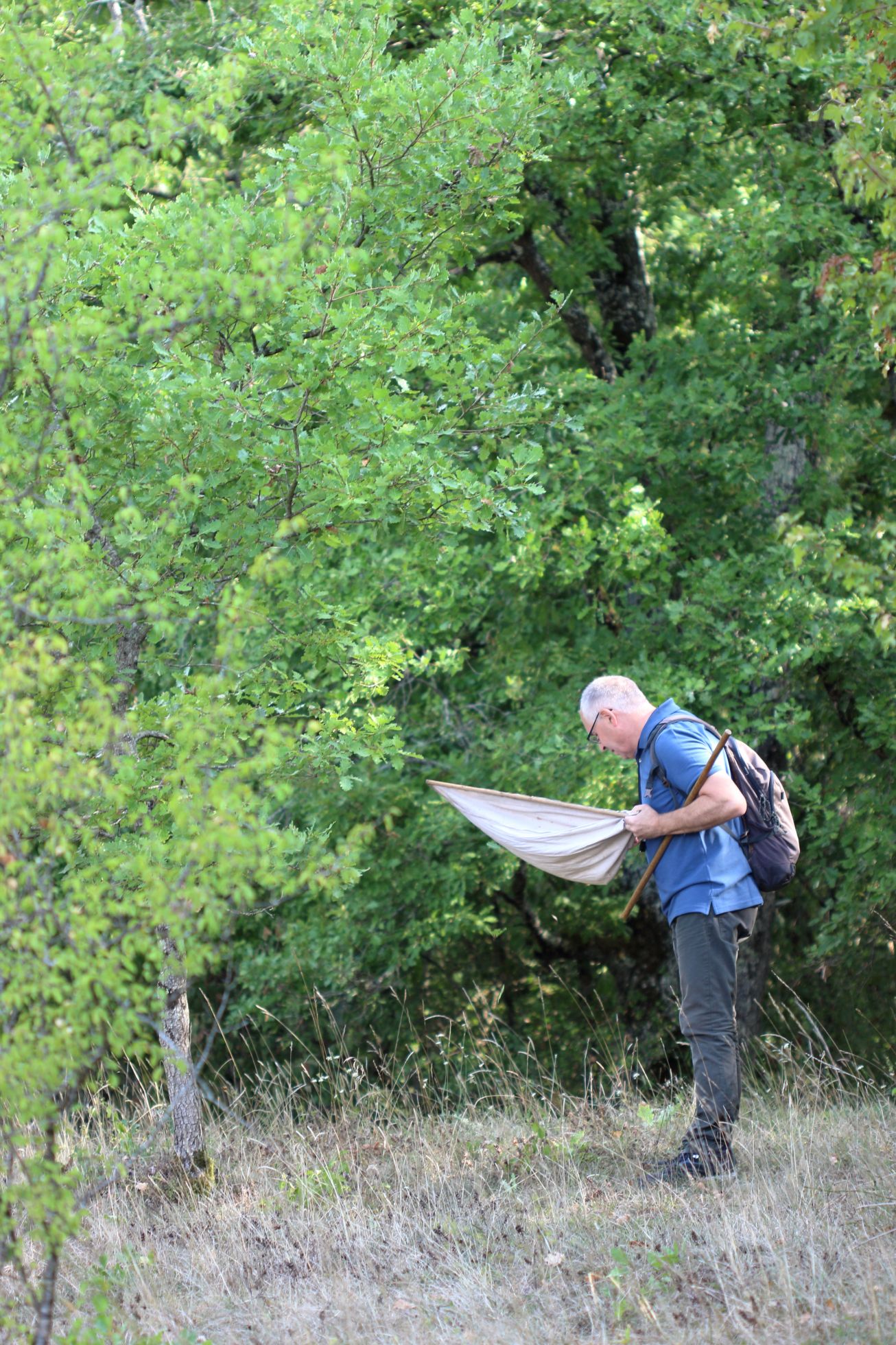 Prospection de la RNN du bois du Parc © M. CARNET