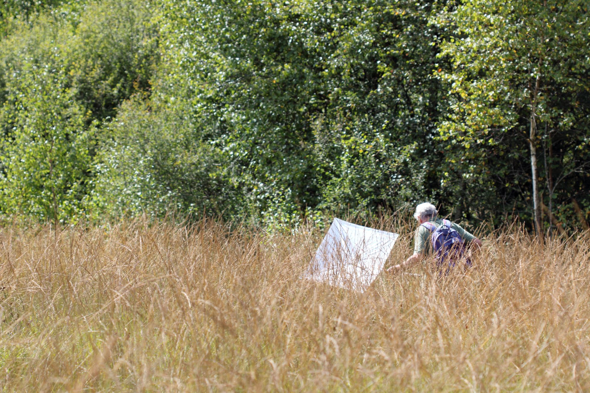 Prospections sur la Réserve Naturelle Régionale des Tourbières du Morvan © M. CARNET