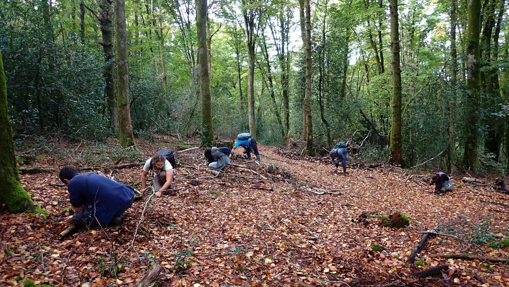 Prospections au bois de Vasseur © N. LARCHEVEQUE