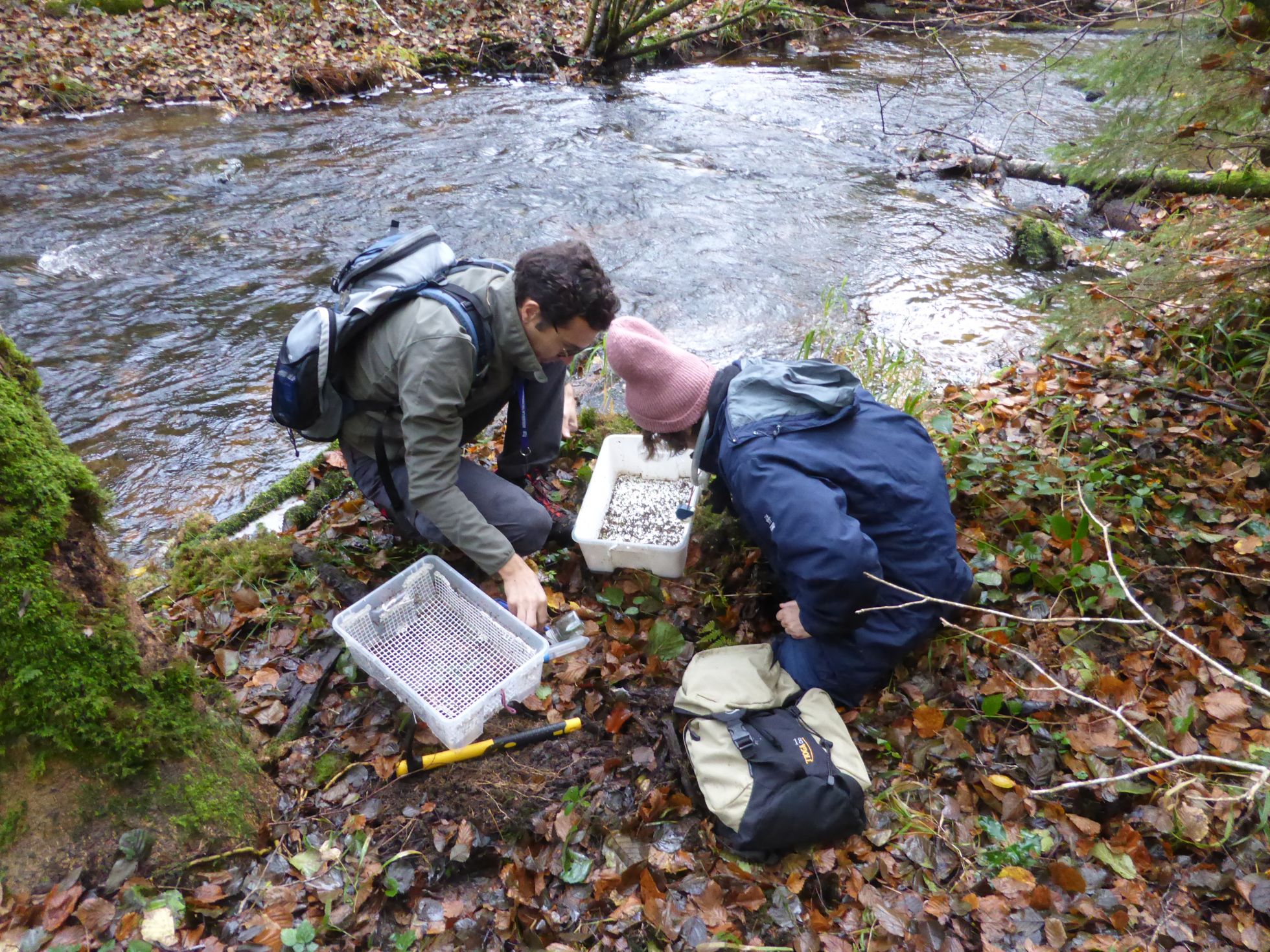 Prospections dans les gorges de la Canche © A. RACINE