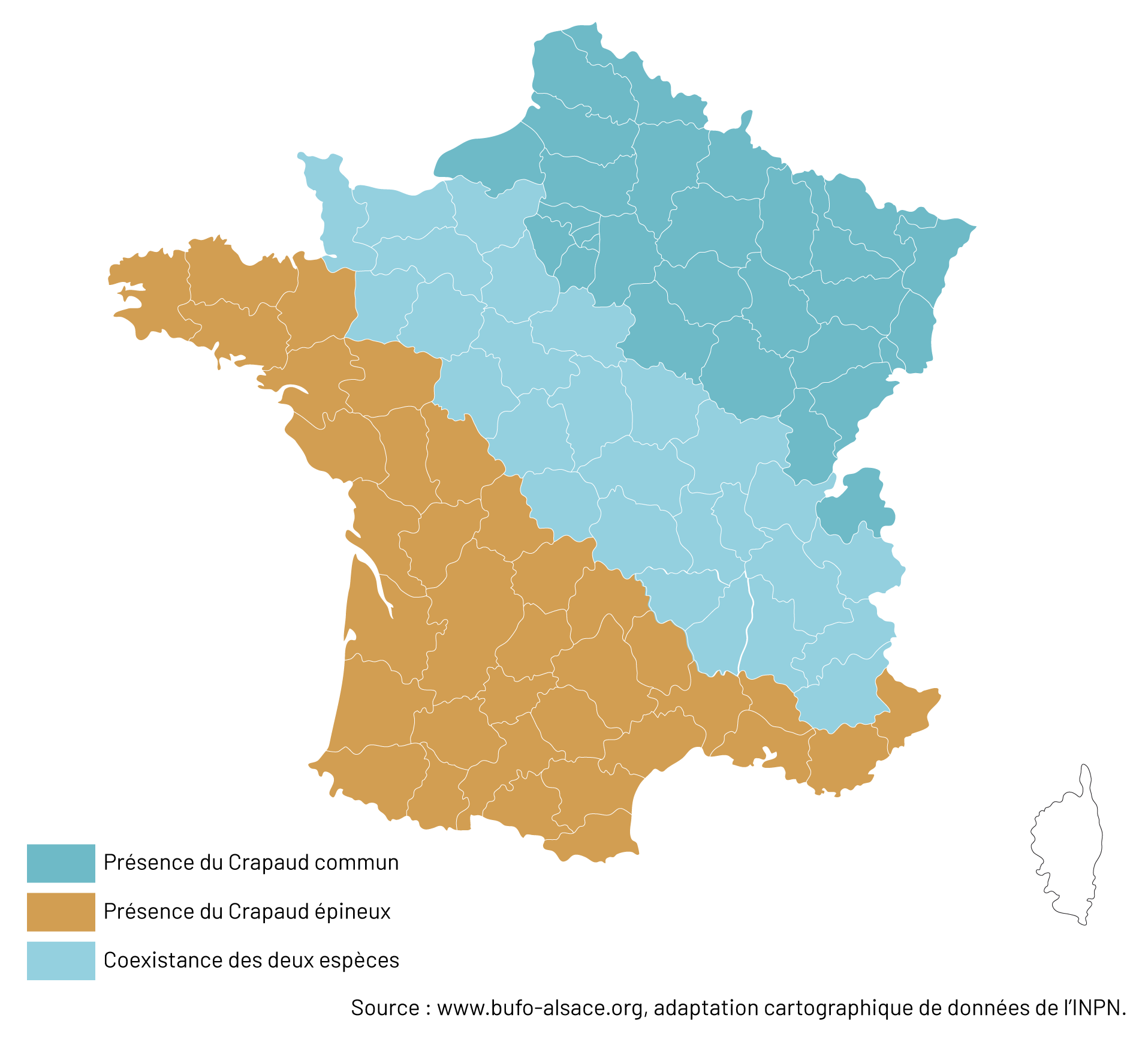 Source : www.bufo-alsace.org, adaptation cartographique de données de l’INPN. 