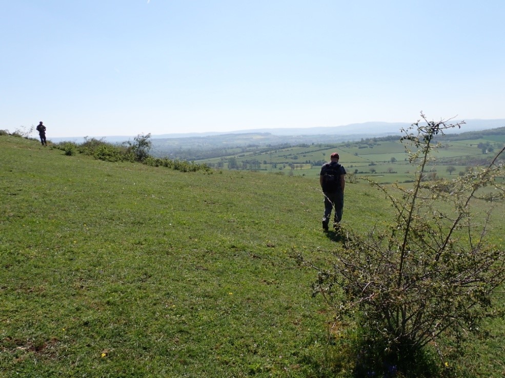 Recherche de la Carline commune sur le Mont Pejus · © M. BRUGGER · SHNA-OFAB