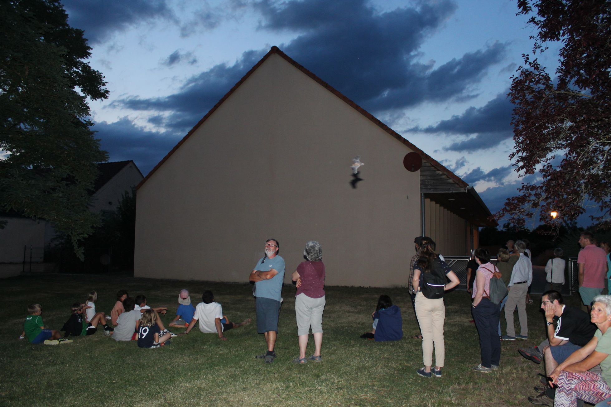 comptage d'une colonie de Pipistrelles communes à Rigny-sur-Arroux | V.VILLEDEY