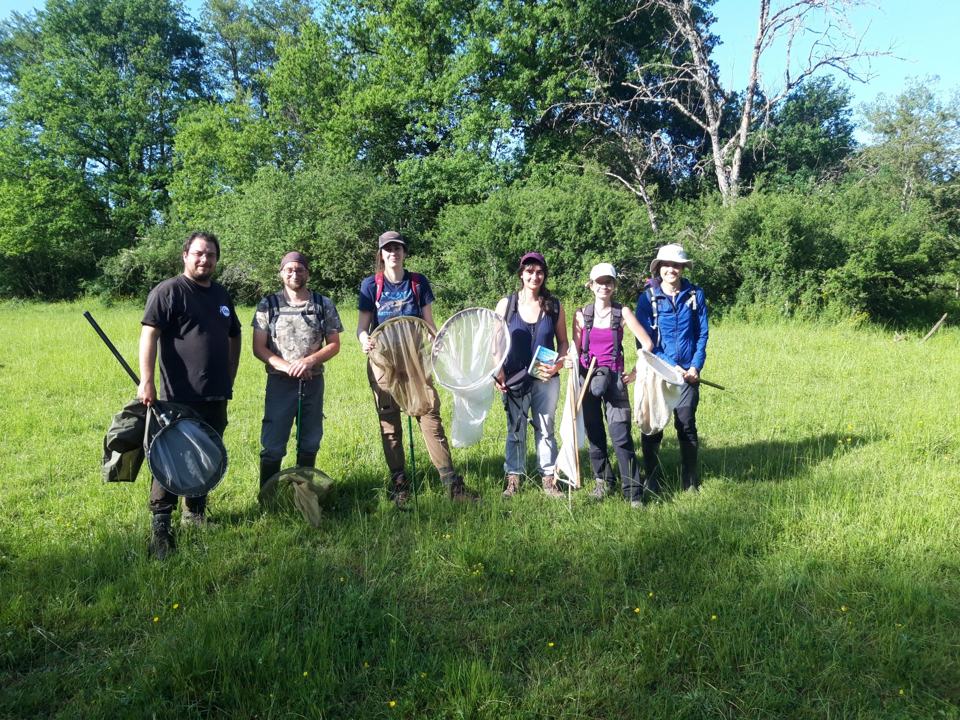 Prospection invertébrés pour les 48h Biodiv' de l'ABI de Puisaye Forterre | M. CARNET · SHNA-OFAB