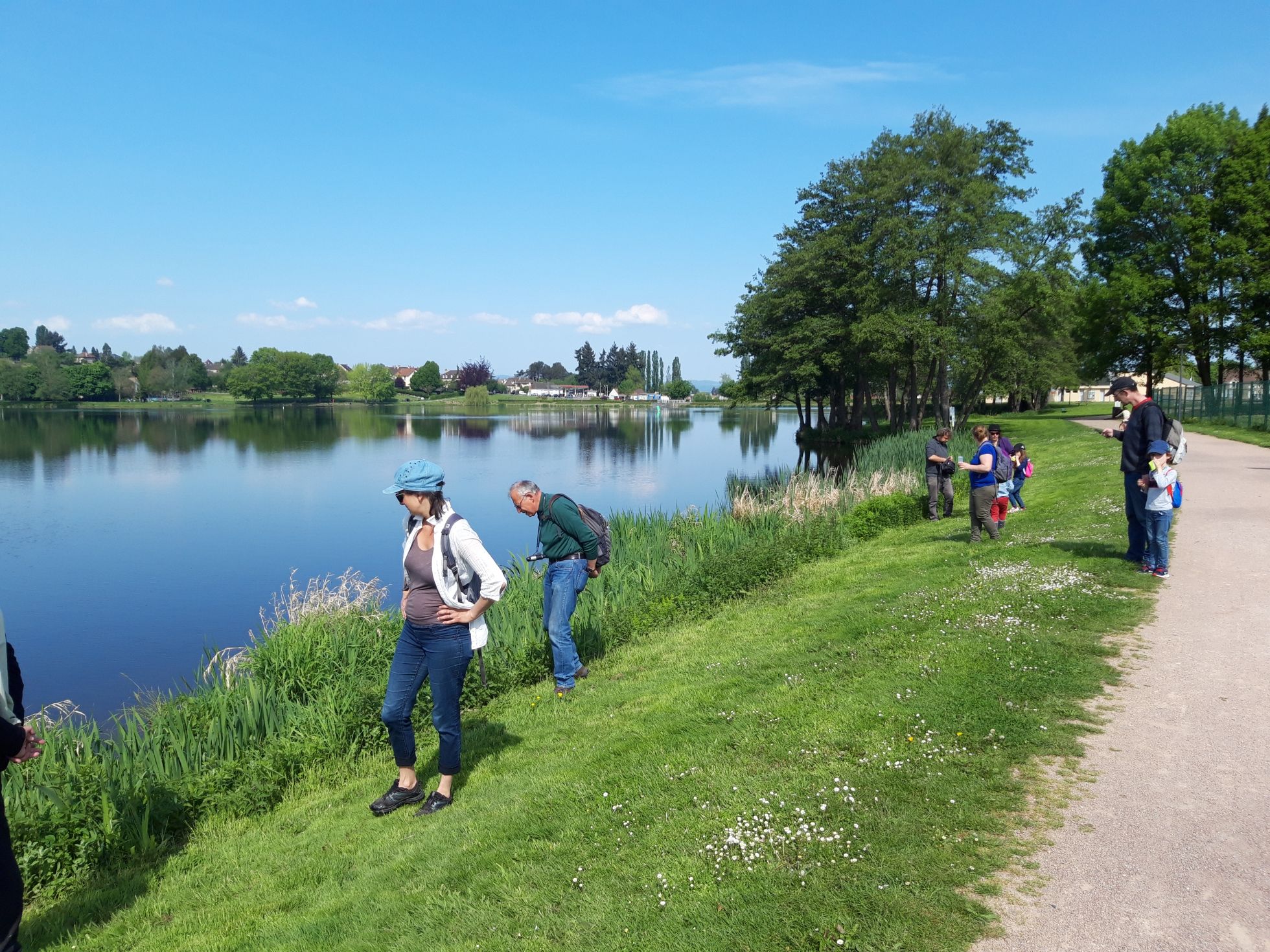 Animation pollinisateurs au plan d'eau du Vallon dans le cadre de l'ABC d'Autun | M. CARNET · SHNA-OFAB