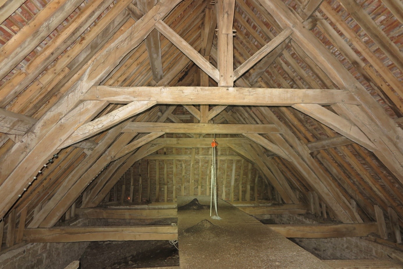 Colonie de Grands murins (Myotis myotis) dans le grenier d'une église vers la forêt de Cîteaux (21) © L. LEPRÊTRE