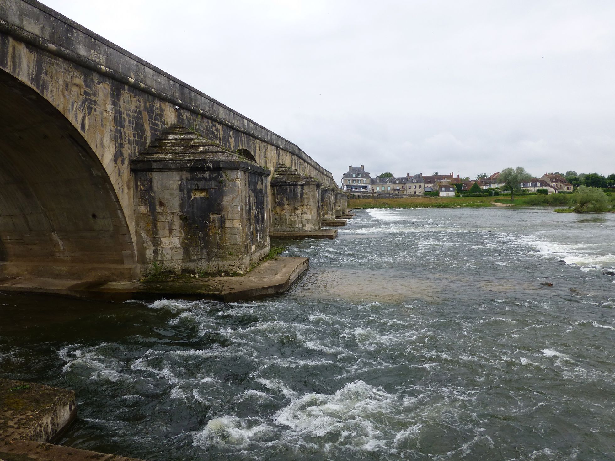 Secteur potentiel pour l'espèce, la Charité-sur-Loire © Wikipédia